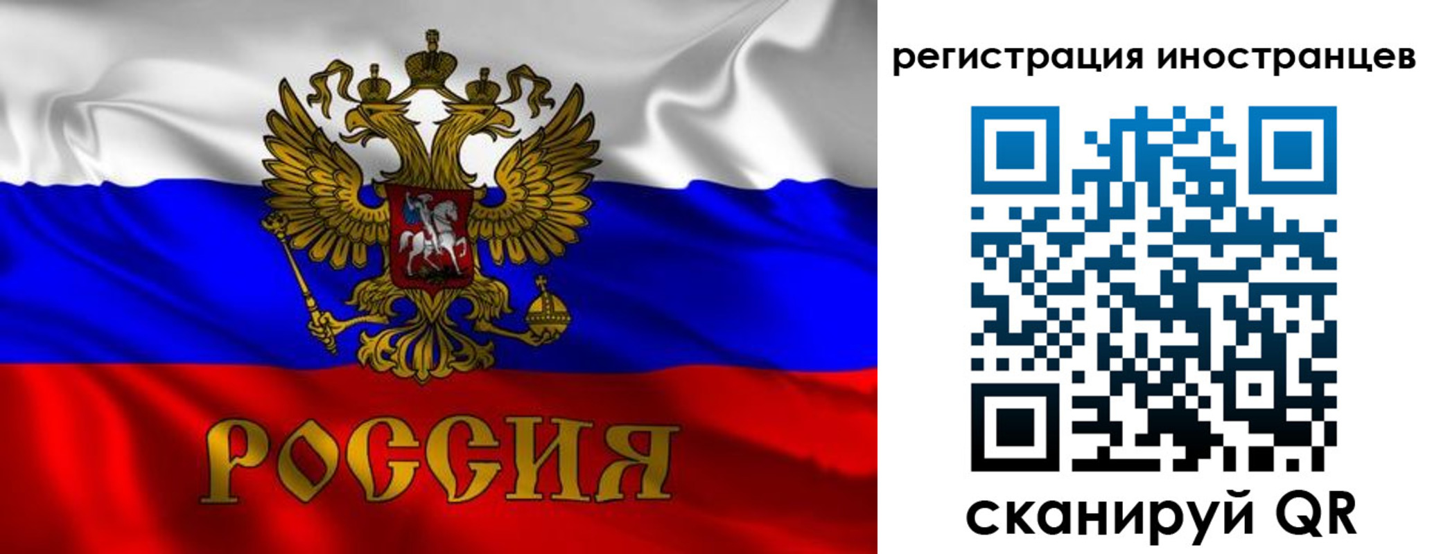 прописка в Курске